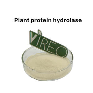 Industrial Plant Protein Hydrolase Enzyme