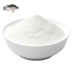 Collagen Drink Nutraceuticals Fish Tripeptide Powder