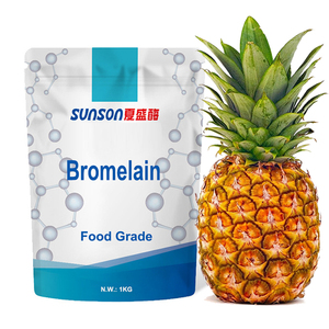 Bromelain Powder Pineapple Extract With 100000 U/g High Enzyme Activity